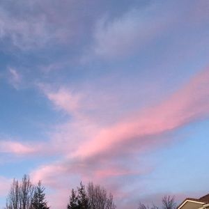 Meet your Posher, Jameson